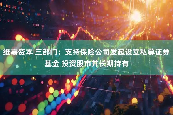 维嘉资本 三部门：支持保险公司发起设立私募证券基金 投资股市并长期持有