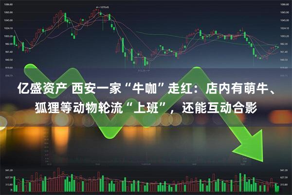 亿盛资产 西安一家“牛咖”走红：店内有萌牛、狐狸等动物轮流“上班”，还能互动合影