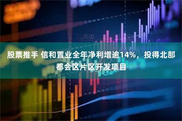 股票推手 信和置业全年净利增逾14%，投得北部都会区片区开发项目